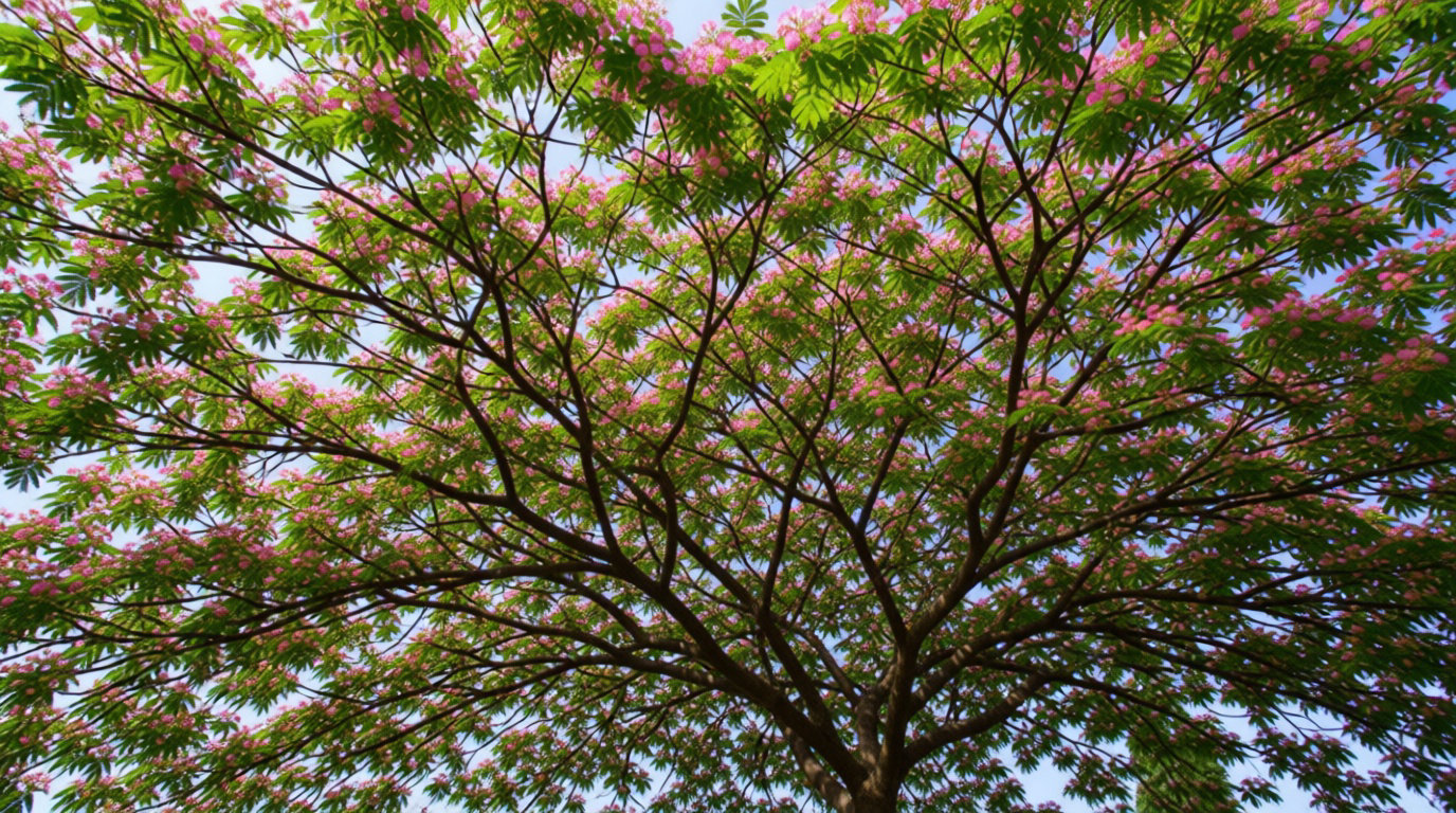 3 alternatives pour un jardin sans contraintes