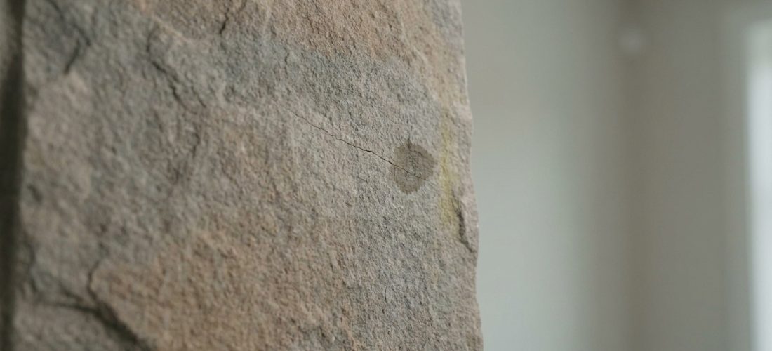 Surface texturée de feuille de pierre grise et beige, avec une fine fissure horizontale et une tache sombre circulaire. Arrière-plan flou.